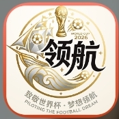 领航国际